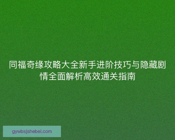 同福奇缘攻略大全新手进阶技巧与隐藏剧情全面解析高效通关指南