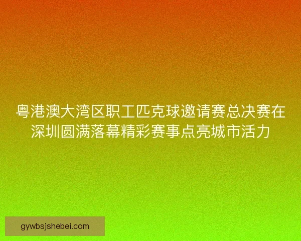 粤港澳大湾区职工匹克球邀请赛总决赛在深圳圆满落幕精彩赛事点亮城市活力